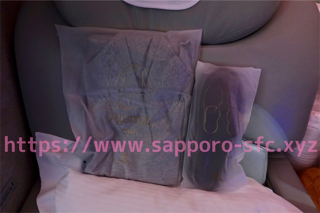 f:id:sfcsapporo:20190414130527j:image
