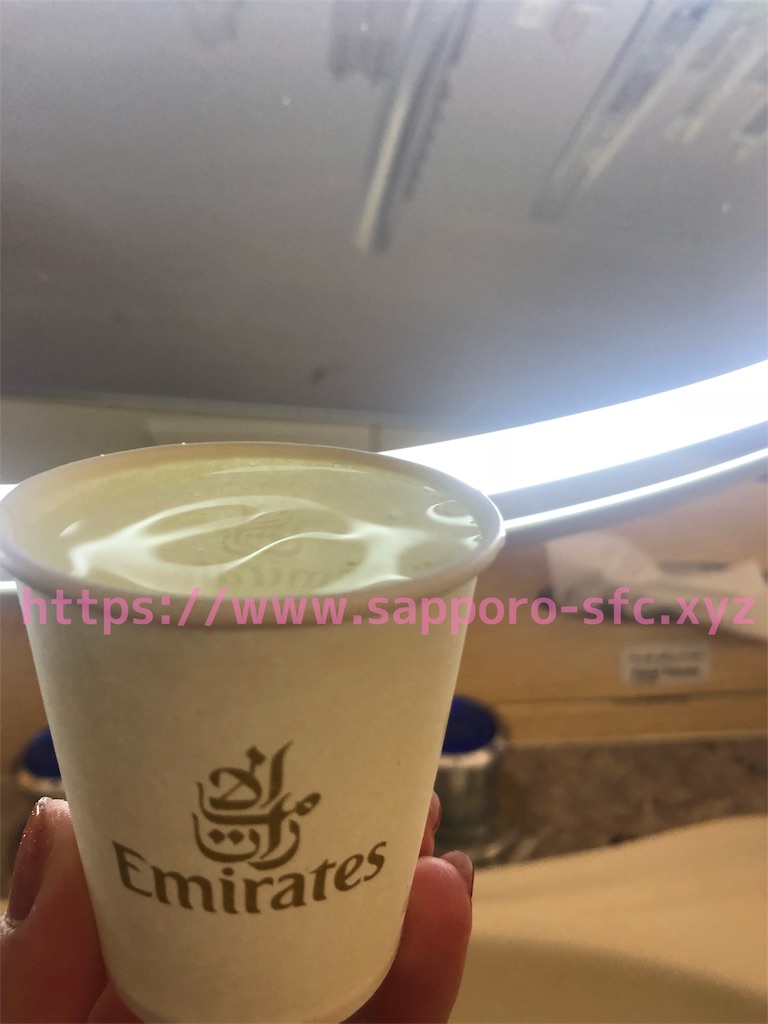 f:id:sfcsapporo:20190418132838j:image f:id:sfcsapporo:20190418132838j:image