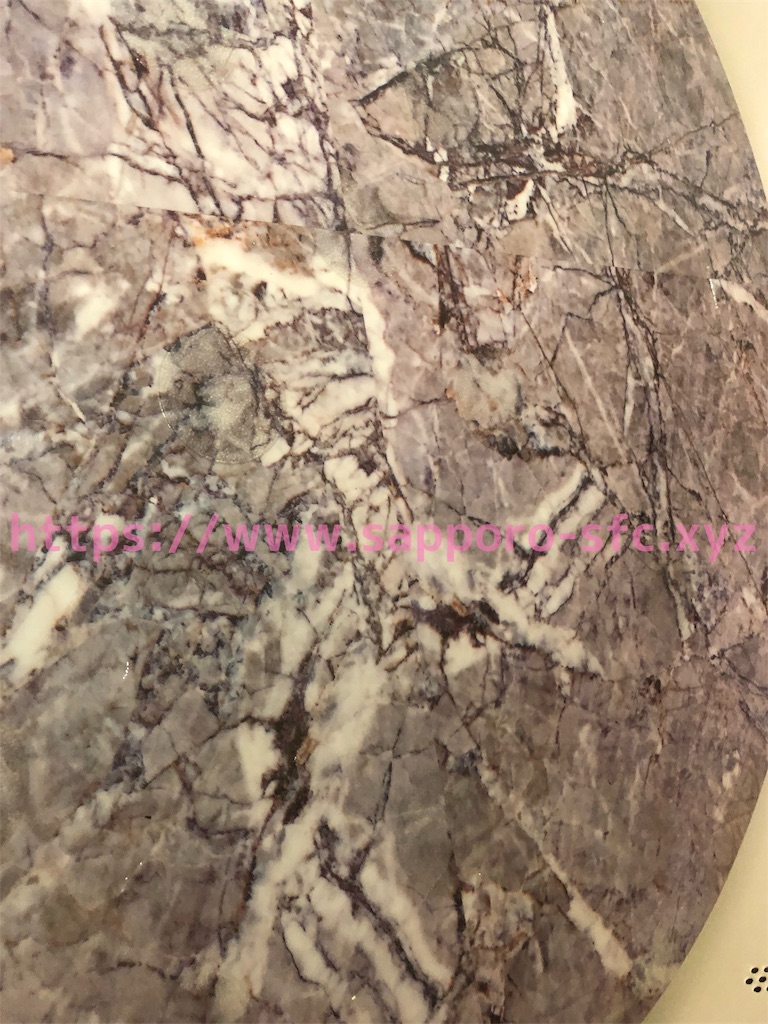 f:id:sfcsapporo:20190418132841j:image f:id:sfcsapporo:20190418132841j:image