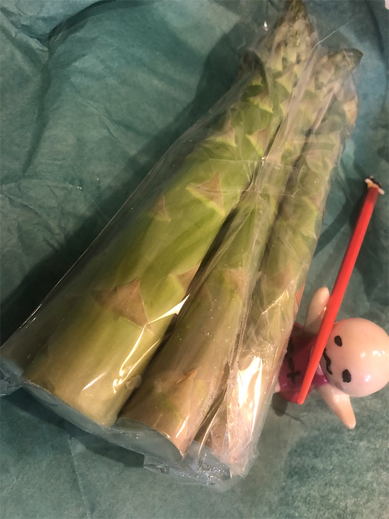 f:id:sfcsapporo:20190422213207j:image f:id:sfcsapporo:20190422213207j:image