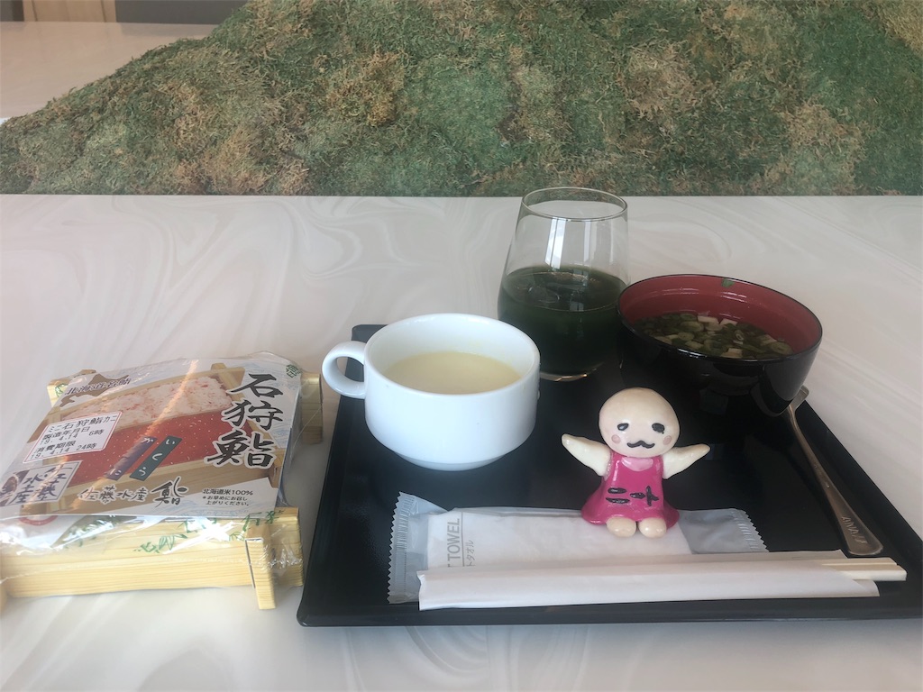 f:id:sfcsapporo:20190424231356j:image