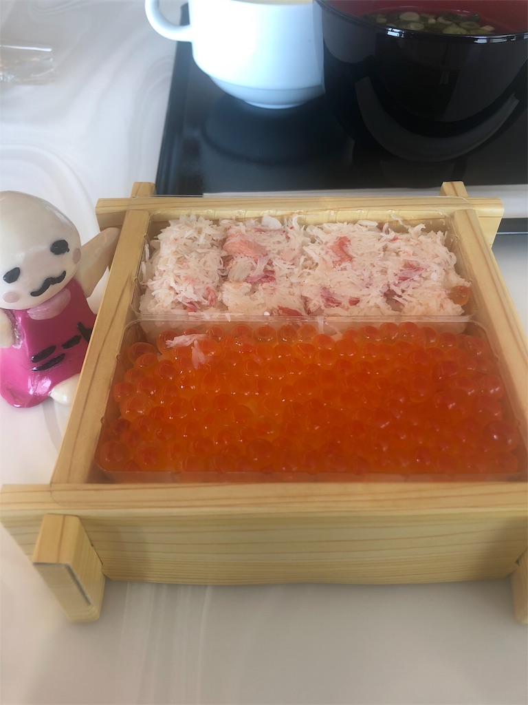 f:id:sfcsapporo:20190425003518j:image