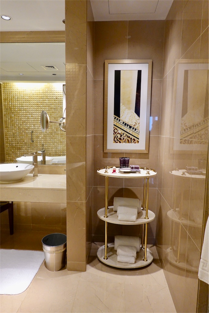 f:id:sfcsapporo:20190507195212j:image