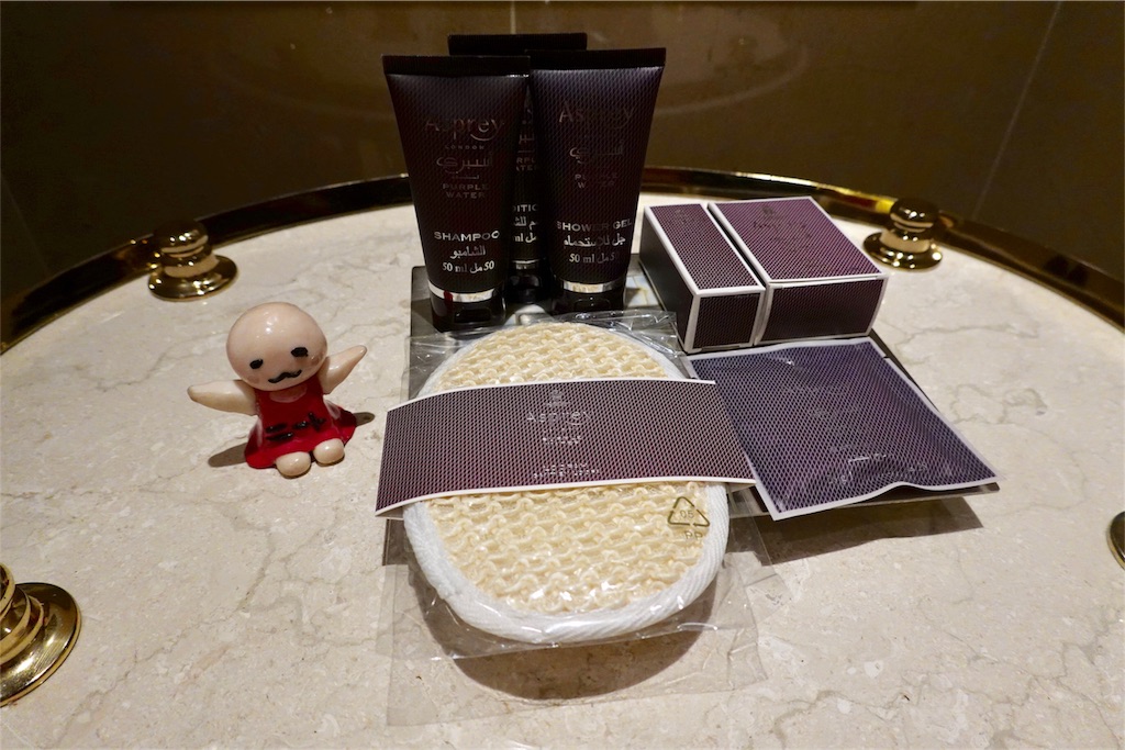 f:id:sfcsapporo:20190507200745j:image