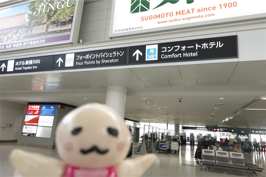 f:id:sfcsapporo:20190518030510j:image f:id:sfcsapporo:20190518030510j:image