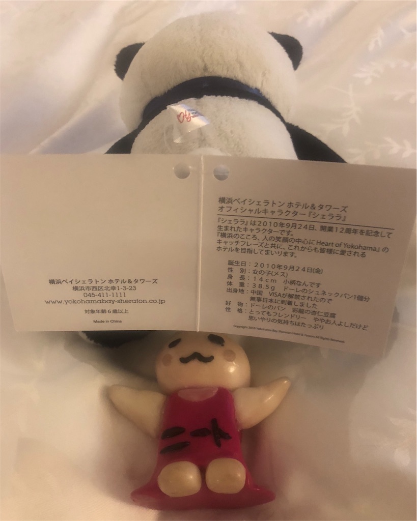 f:id:sfcsapporo:20190616194310j:plain