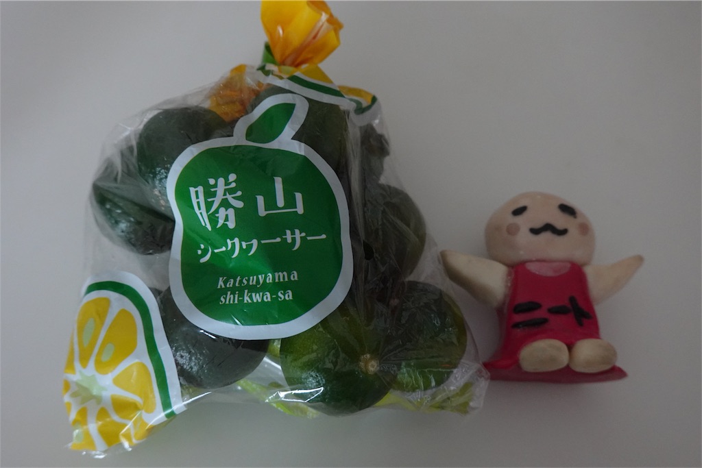 f:id:sfcsapporo:20190830134325j:image f:id:sfcsapporo:20190830134325j:image