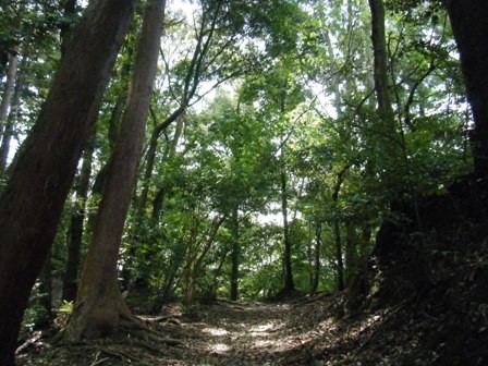 f:id:sfuji:20110802125611j:image:w360