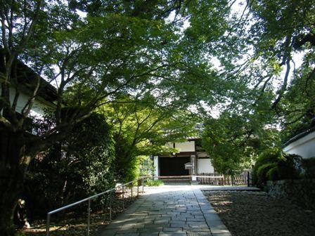 f:id:sfuji:20110802154817j:image:w360