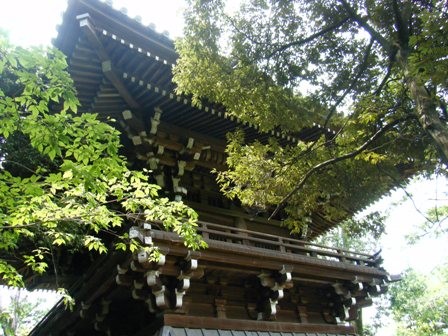 f:id:sfuji:20110911132153j:image:w360