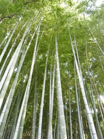 f:id:sfuji:20110911193139j:image:w360