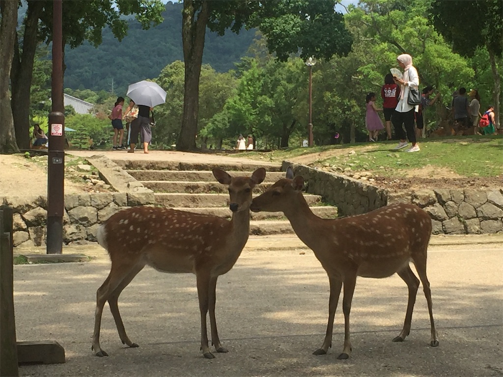 f:id:sfxkyg395f1210:20190809231503j:image f:id:sfxkyg395f1210:20190809231503j:image