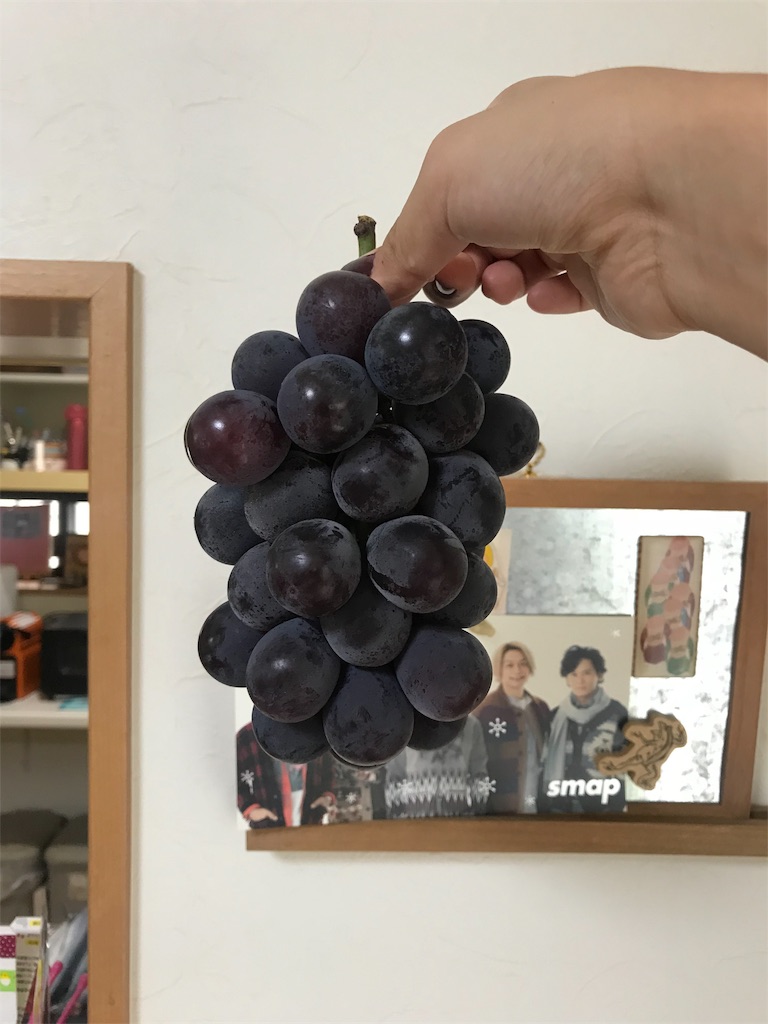 f:id:sg1015:20181004213718j:image f:id:sg1015:20181004213718j:image