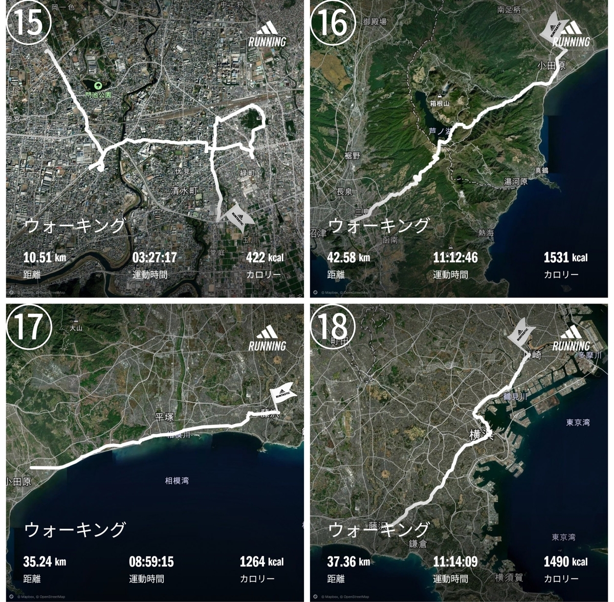 歩いて大阪から東京 【歩いた630kmの内訳】 - 老化で廊下