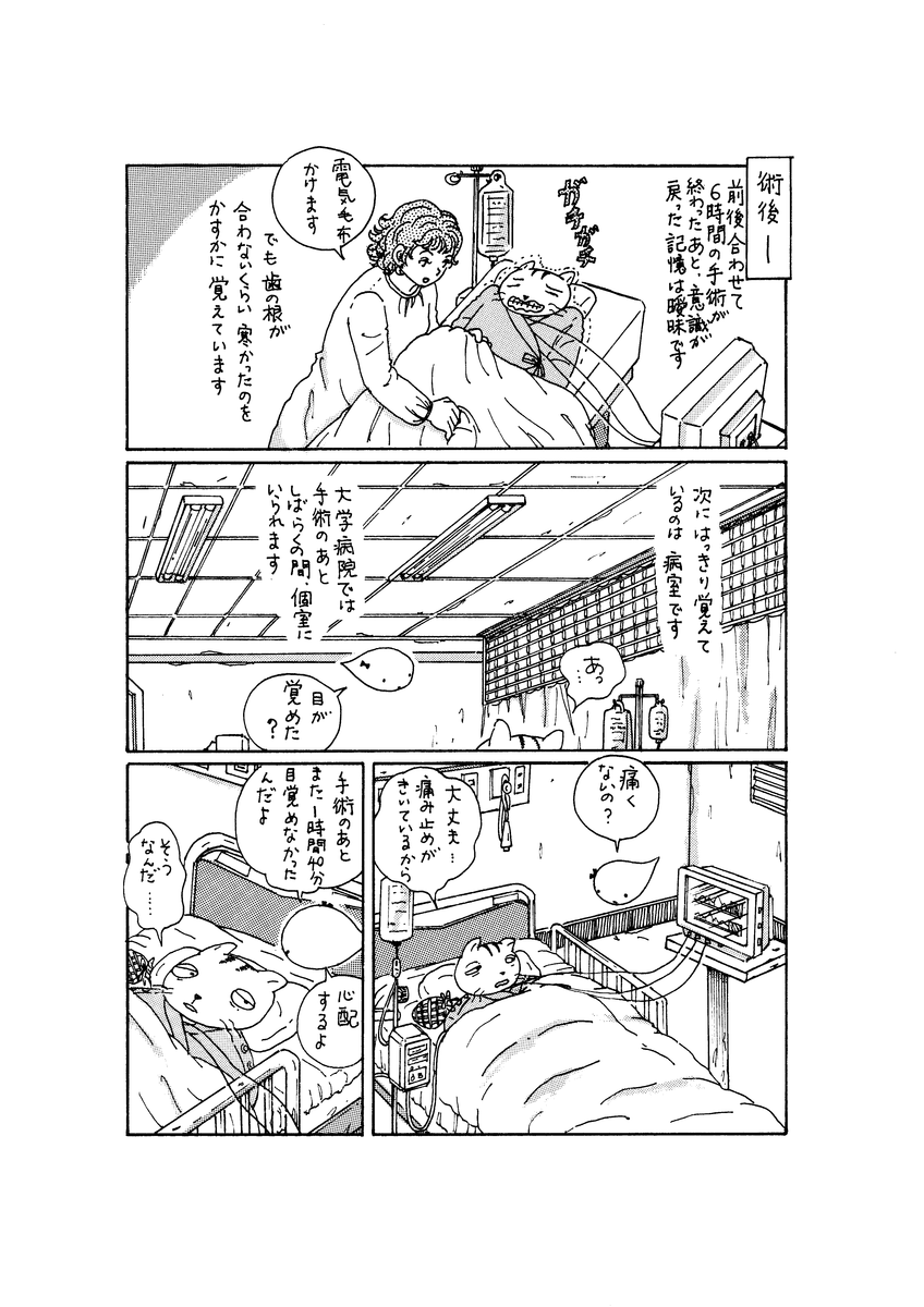 わし 低血圧で立ち上がれない 28 しあすさとくもちゃんの闘病日記