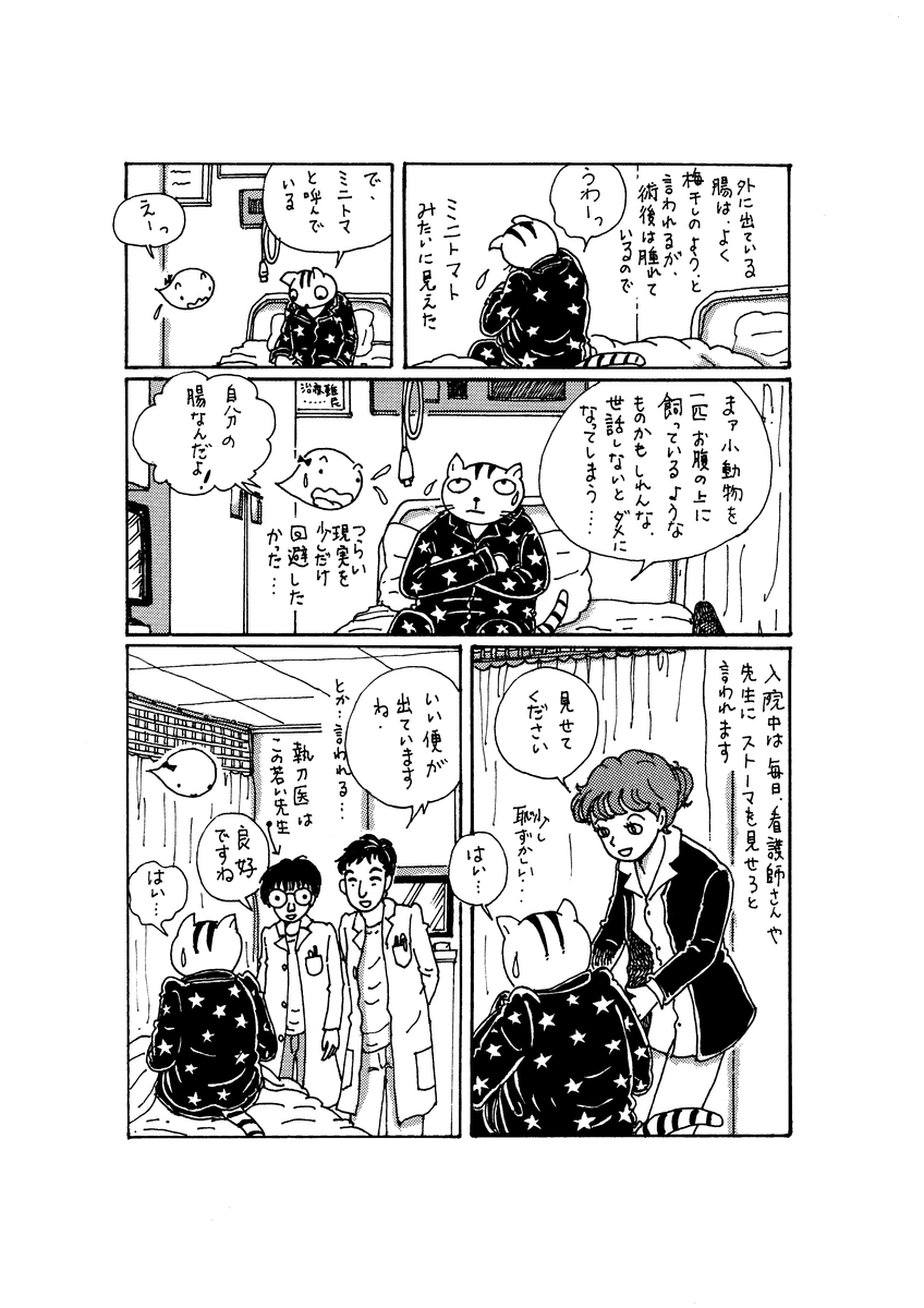 f:id:sg8yktrt:20191121172002p:plain f:id:sg8yktrt:20191121172002p:plain