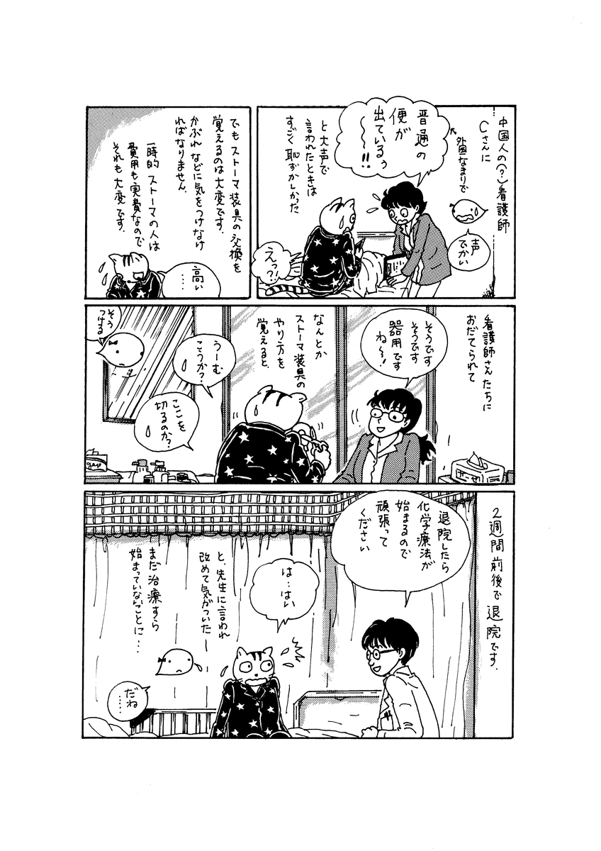 f:id:sg8yktrt:20191121172047p:plain f:id:sg8yktrt:20191121172047p:plain