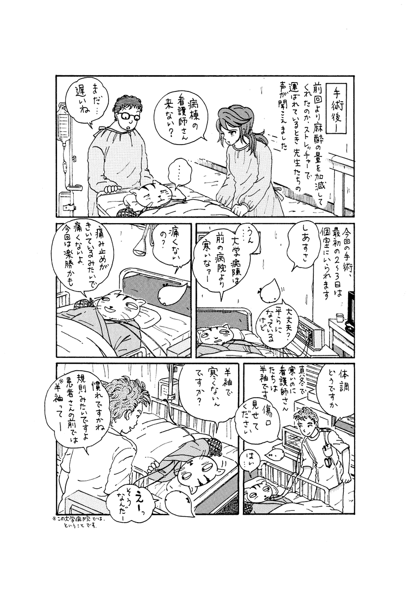 術後 わし べっぴん先生のアドバイスを受ける 48 しあすさとくもちゃんの闘病日記