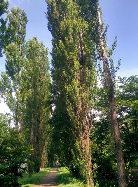 f:id:sgamakun:20160709120616j:image f:id:sgamakun:20160709120616j:image