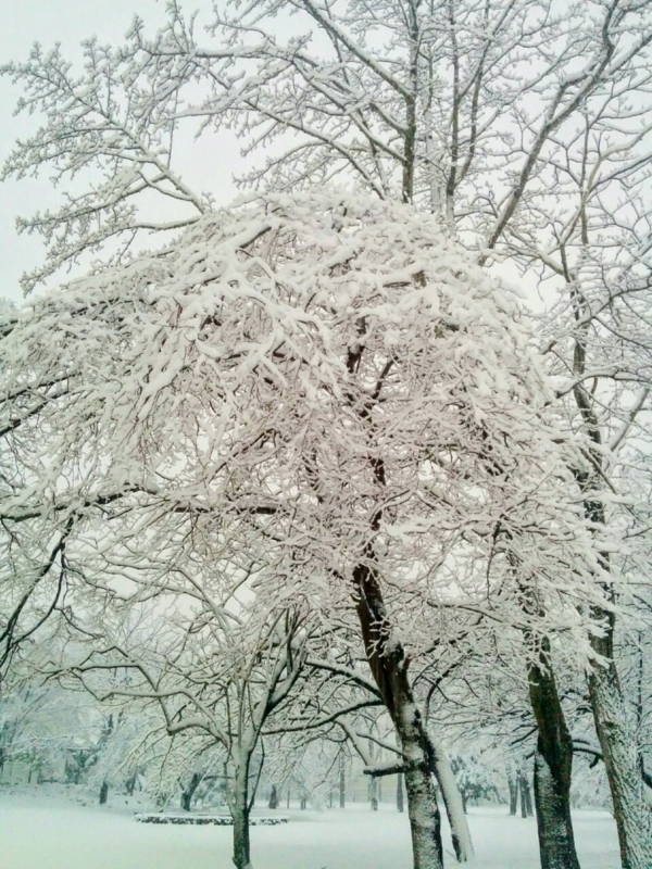 f:id:sgamakun:20170330202945j:plain