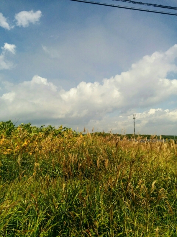 f:id:sgamakun:20170909172816j:plain