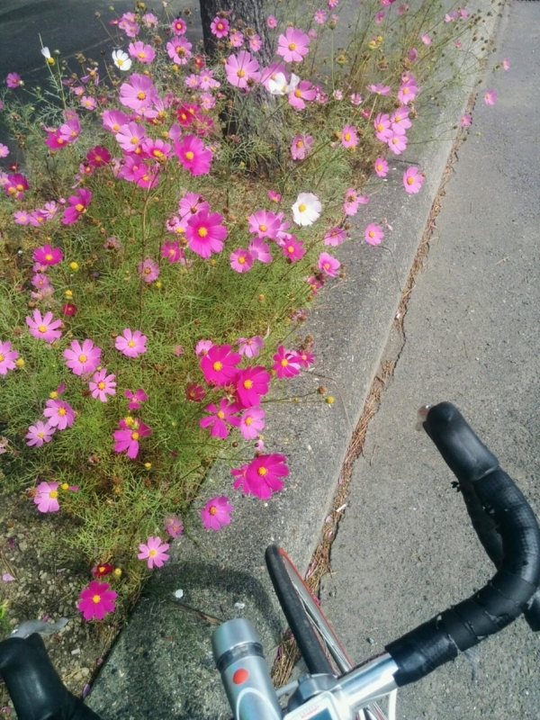 f:id:sgamakun:20170909172821j:plain