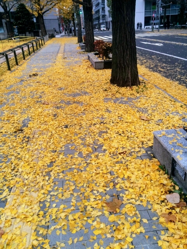 f:id:sgamakun:20171104215355j:plain