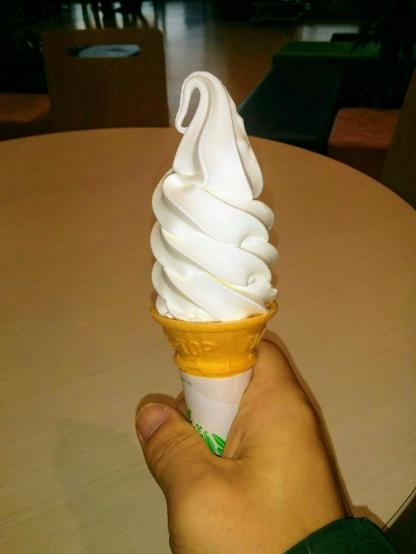 f:id:sgamakun:20171112173852j:plain