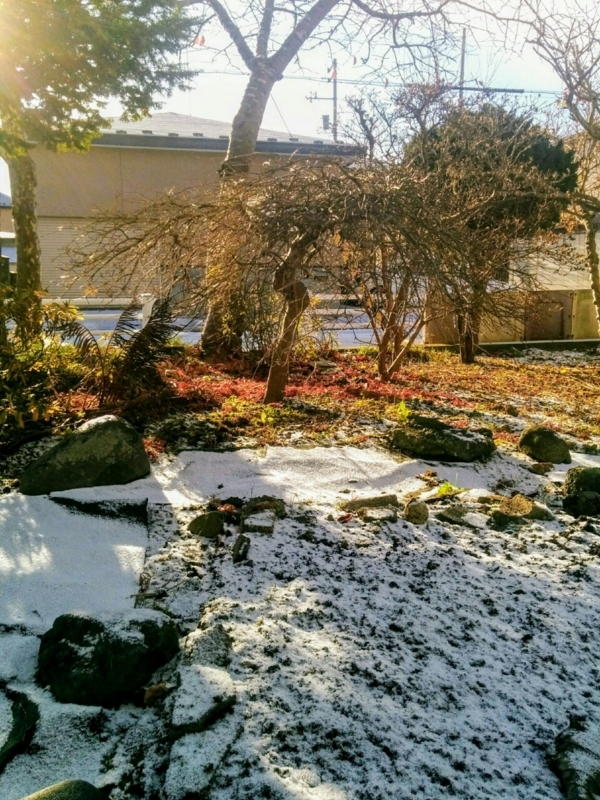 f:id:sgamakun:20171119152340j:plain