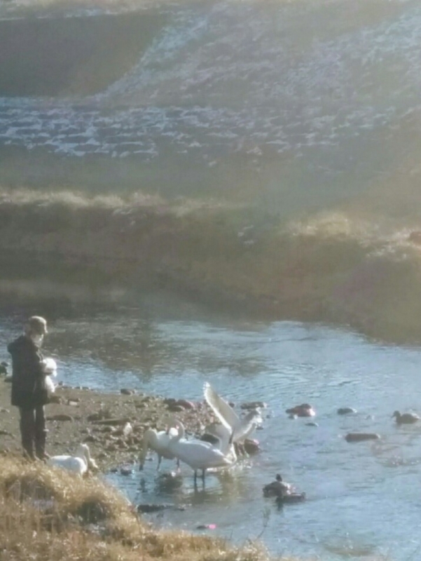 f:id:sgamakun:20171230214507j:plain