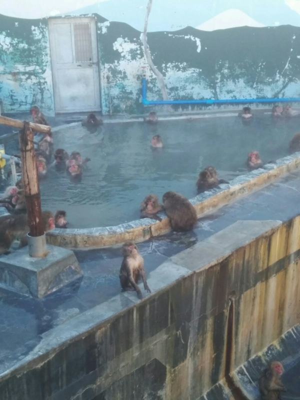 f:id:sgamakun:20180104215301j:plain