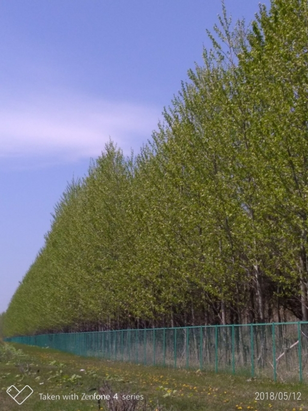 f:id:sgamakun:20180512160050j:plain