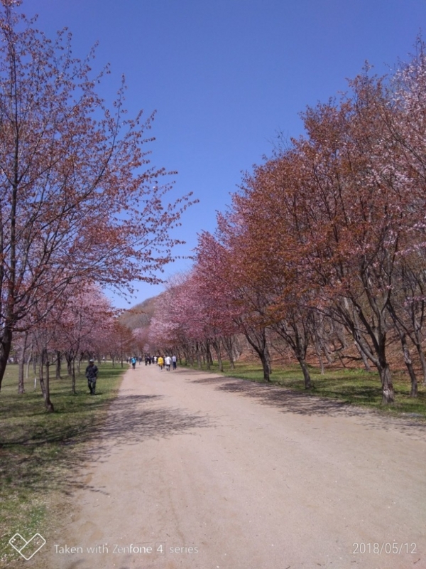 f:id:sgamakun:20180512160054j:plain