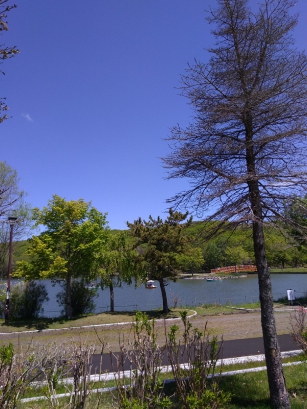 f:id:sgamakun:20180527210924j:plain