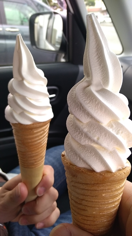 f:id:sgamakun:20190506174924j:plain