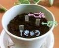20080507212832
