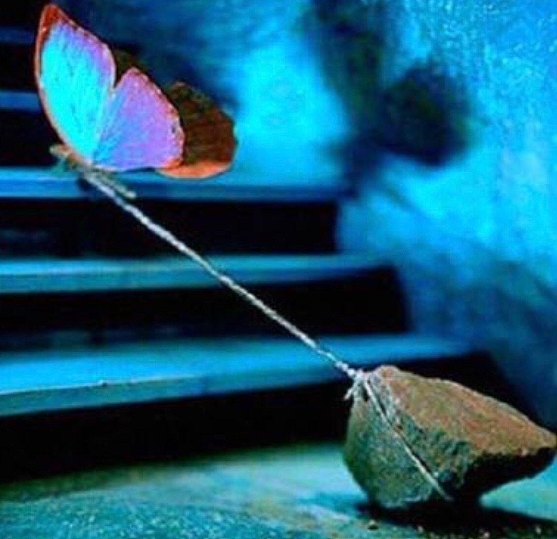 f:id:sghmajiaru:20180430122454j:plain f:id:sghmajiaru:20180430122454j:plain