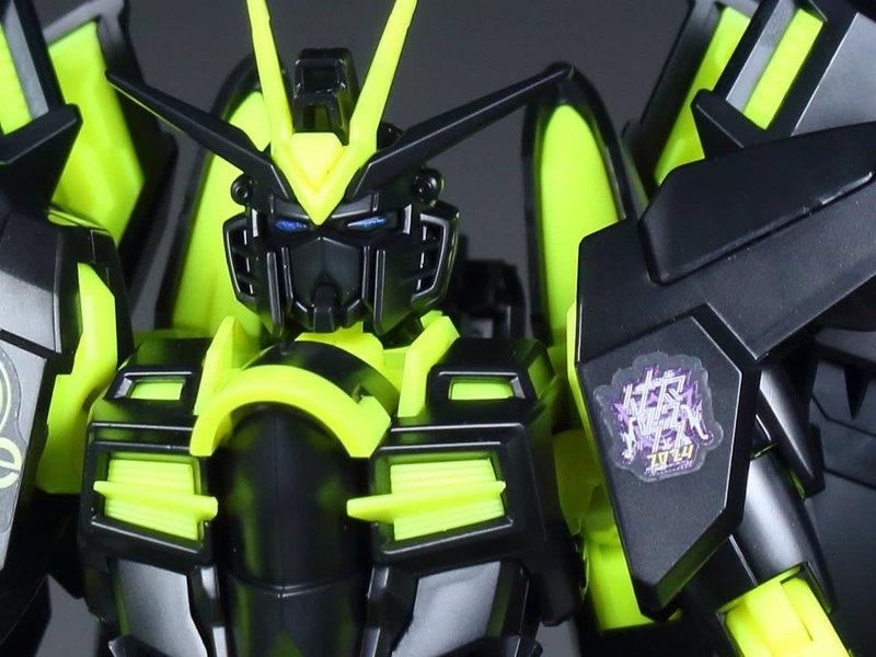 HGライジングフリーダムガンダム[リサーキュレーションカラー/ネオン
