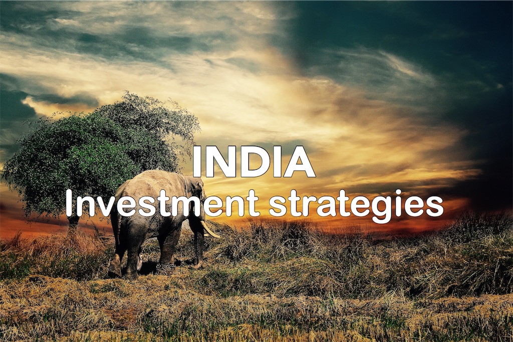 インド投資への魅力を語ります インド投資戦略