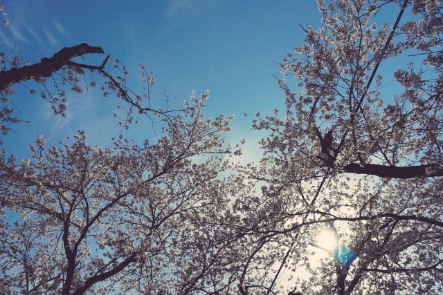 f:id:sgokdik83:20190605203226j:image f:id:sgokdik83:20190605203226j:image