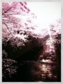 20120407233908