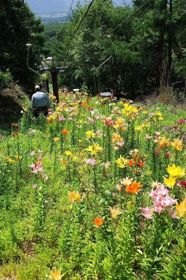 f:id:sgrmatha:20080730215203j:image:h450,w300