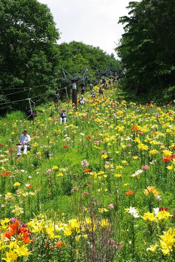 f:id:sgrmatha:20080730215209j:image:h450,w300