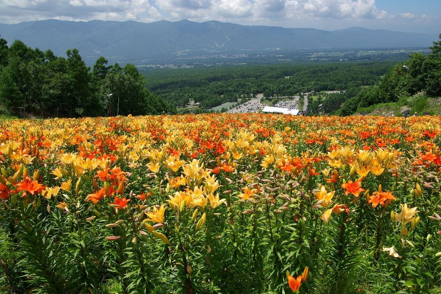 f:id:sgrmatha:20080730215210j:image:h300,w450