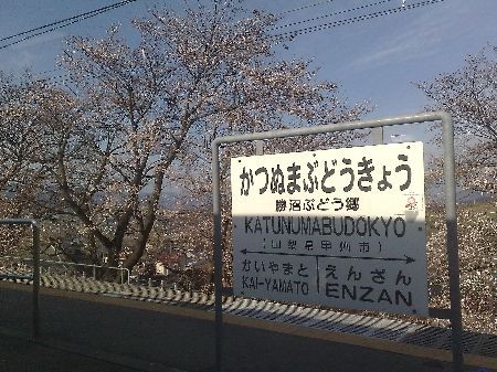 f:id:sgrmatha:20090328082641j:image