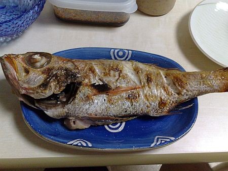 f:id:sgrmatha:20090517101638j:image f:id:sgrmatha:20090517101638j:image