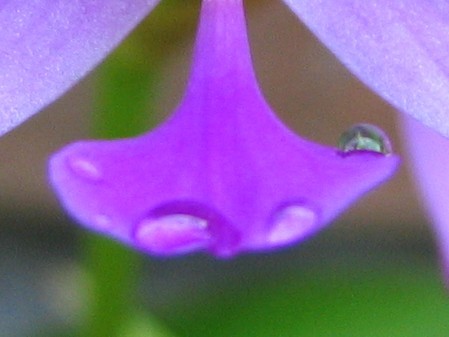 f:id:sgrmatha:20090906200122j:image