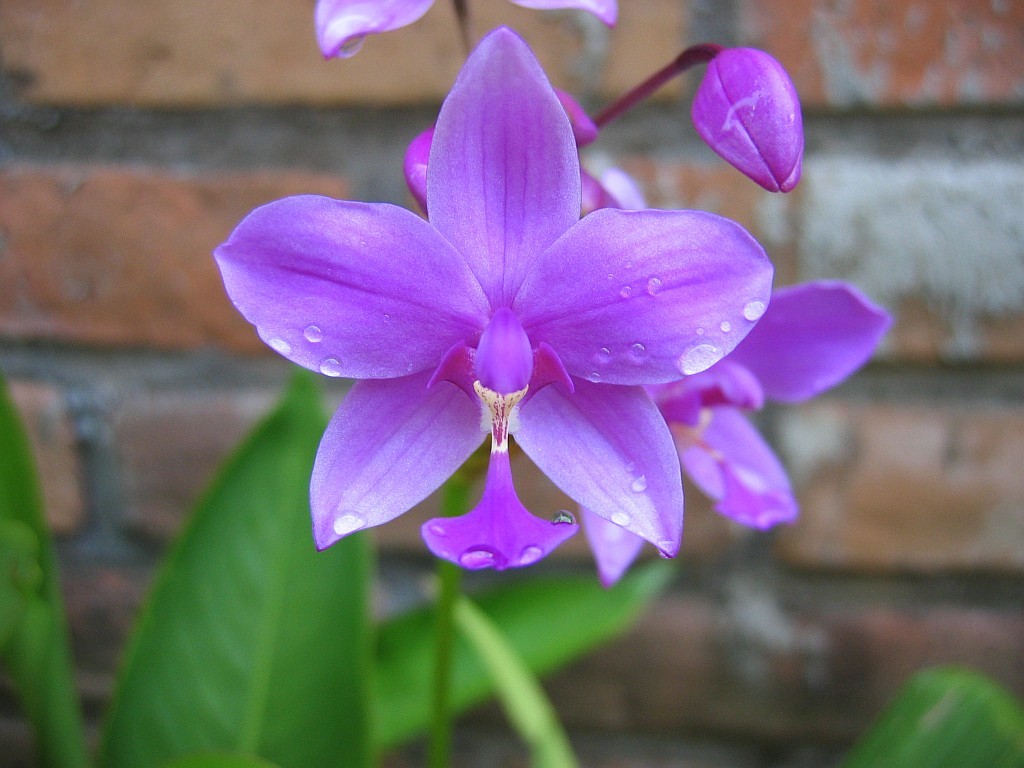 f:id:sgrmatha:20090908094229j:image:w450