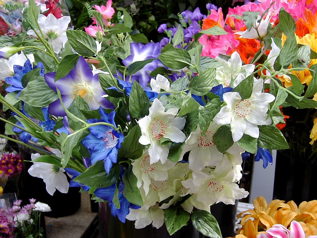 f:id:sgrmatha:20090908094230j:image:w450