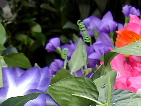 f:id:sgrmatha:20090909112331j:image